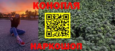 сатива Камышлов