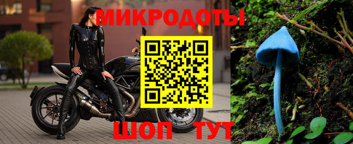 Бошки Шишки Лесной