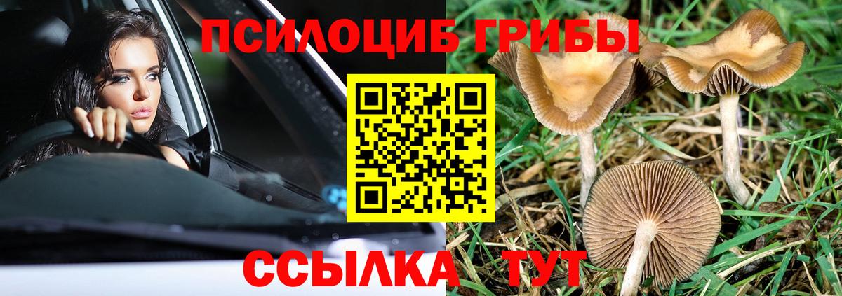 Псилоцибиновые грибы MAGIC MUSHROOMS  Галлюциногенные грибы MAGIC MUSHROOMS  купить наркотик  Лесной  Вход с VPN 