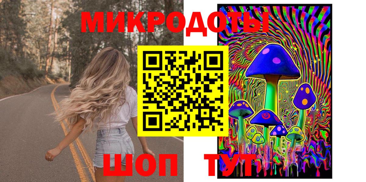 Галлюциногенные грибы ЛСД Лесной